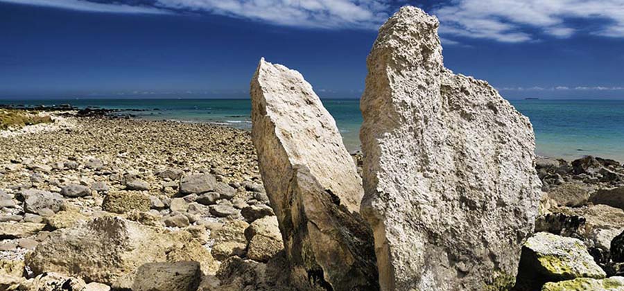 Image of rocks on a beach